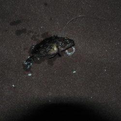 底着底と同時に・・・