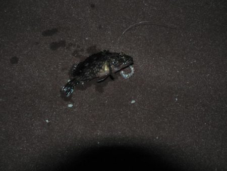 底着底と同時に・・・