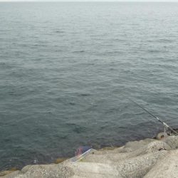 ノマセ撃沈。。