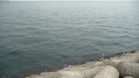 ノマセ撃沈。。