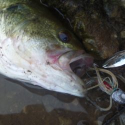 風の強い日でした