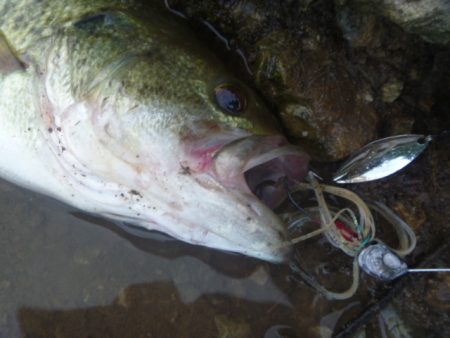 風の強い日でした