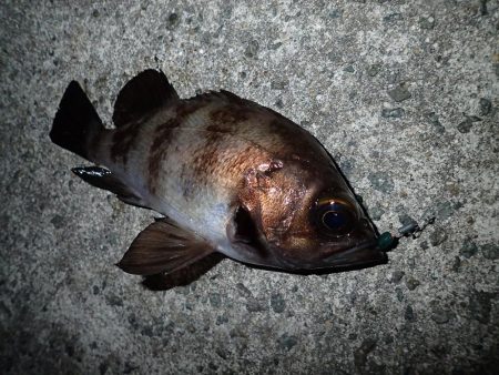 あと1時間あれば・・・