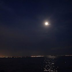 数を狙うか? それとも型か?