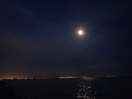 数を狙うか? それとも型か?