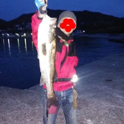 メバルとアジとシーバス