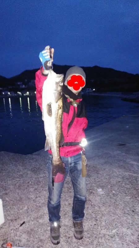 メバルとアジとシーバス