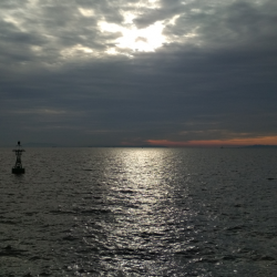 強風荒波良型アジ