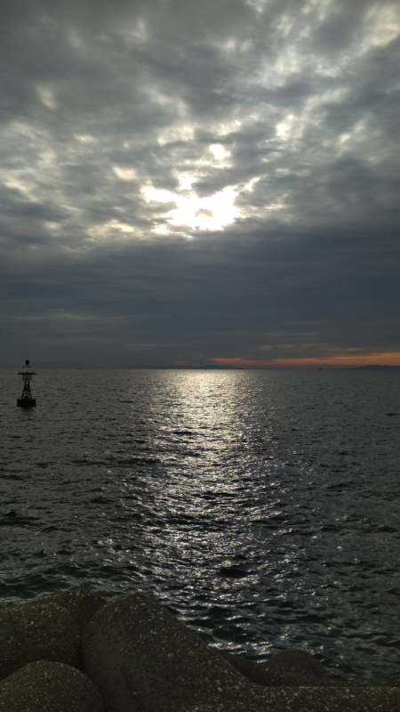 強風荒波良型アジ