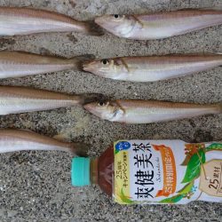 令和、ファースト キス！