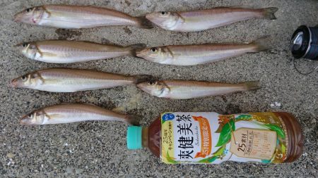 令和、ファースト キス！