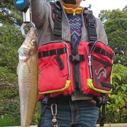 チーバスとデカキスと(^O^)