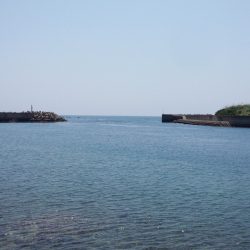 トップに出ました!