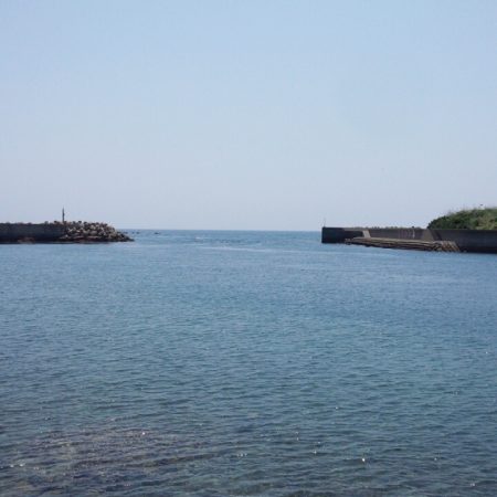 トップに出ました!