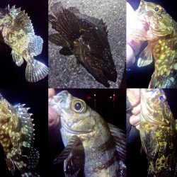 ちびっこばかりかと思ったら尺上のタケノコ