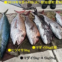 大物釣果速報！●光義丸：平戸市早福港