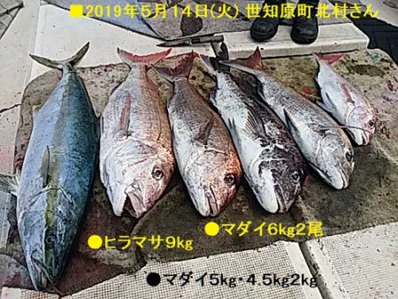 大物釣果速報！●光義丸：平戸市早福港