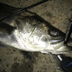 ショートバイト対策で