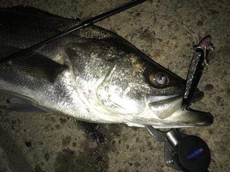 ショートバイト対策で