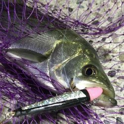 一瞬で始まり、一瞬で終わった