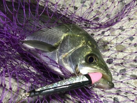 一瞬で始まり、一瞬で終わった