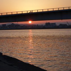 底は藻だらけ…