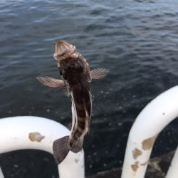 海釣り公園2日目