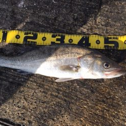 久々の海釣り園