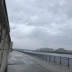 南芦屋浜東面ツバス(モジャコ)