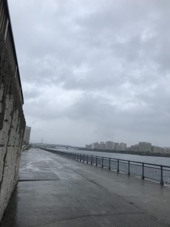 南芦屋浜東面ツバス(モジャコ)