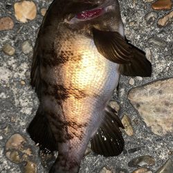 のんびりライトゲーム