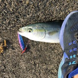 令和元年初釣行