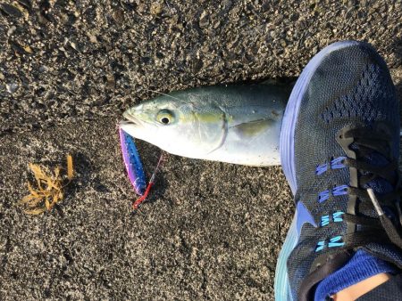 令和元年初釣行