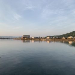 久々のキス釣り