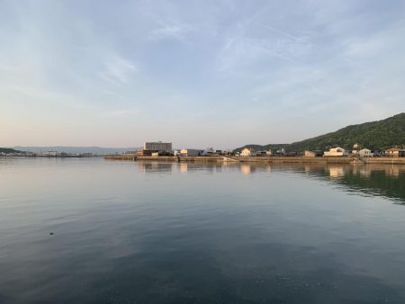 久々のキス釣り