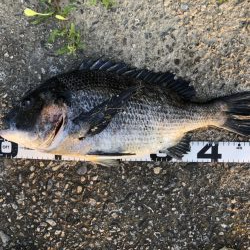 イチノ兄弟、釣果!