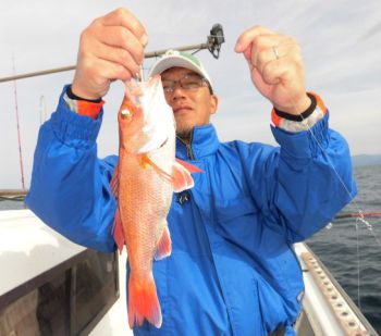 土佐安芸のハマちゃんの釣果