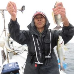 土佐安芸のハマちゃんの釣果