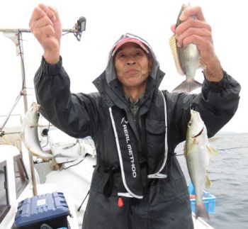 土佐安芸のハマちゃんの釣果