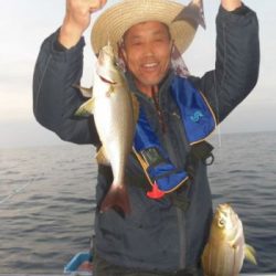 土佐安芸のハマちゃんの釣果
