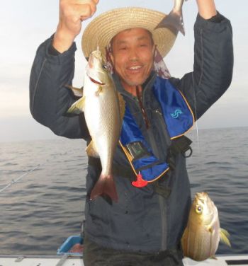 土佐安芸のハマちゃんの釣果