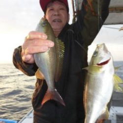 土佐安芸のハマちゃんの釣果