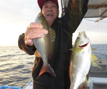 土佐安芸のハマちゃんの釣果