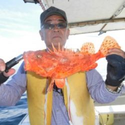 土佐安芸のハマちゃんの釣果