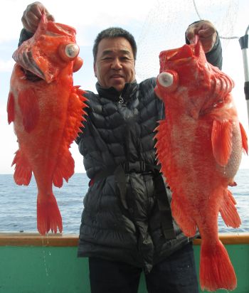 土佐安芸のハマちゃんの釣果