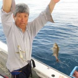 土佐安芸のハマちゃんの釣果