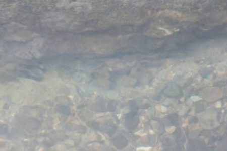 北摂地域でタナゴ釣り