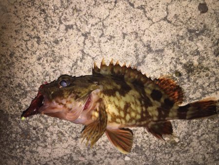 母の日 ガッシー!