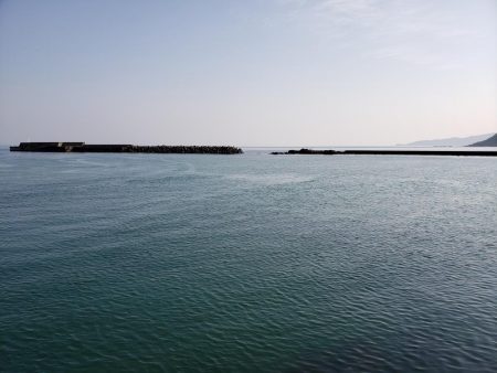 左右揃いました