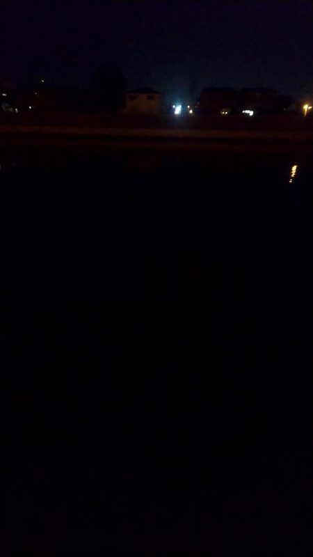 クルクルバチしかいない